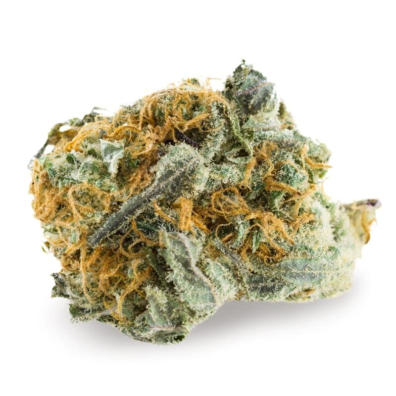 AMS Supreme Autoflower Seeds - photo 2