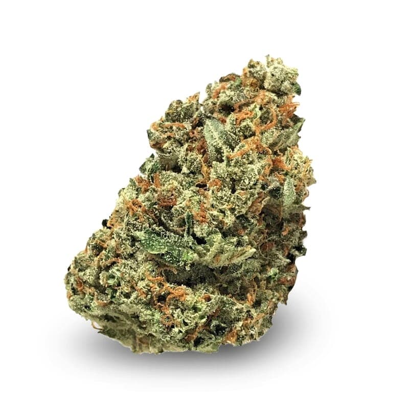 AMS Supreme Feminized Seeds - photo 2