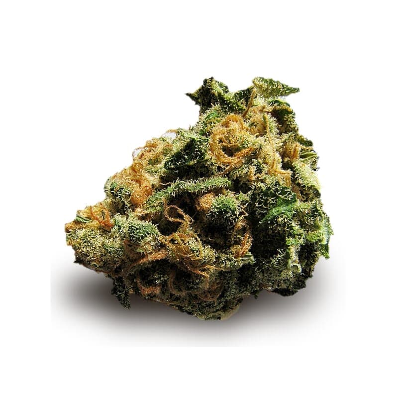 Super Skunk Feminized Seeds - photo 2