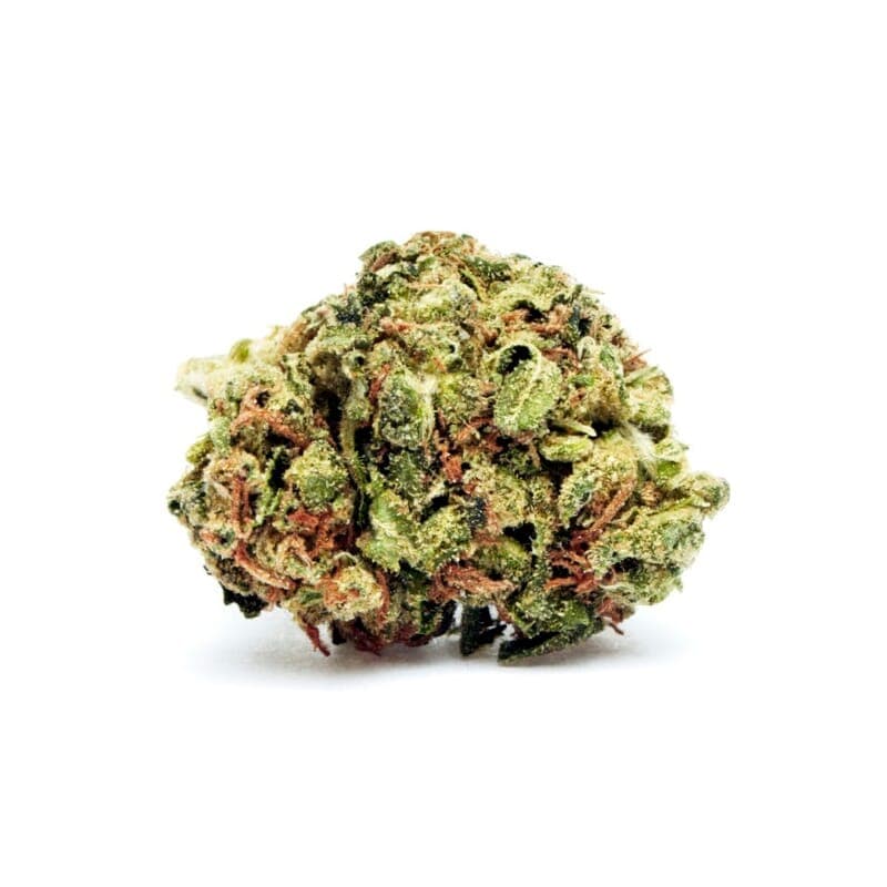 MOAB – Mother of All Buds ® Feminized Seeds - photo 2