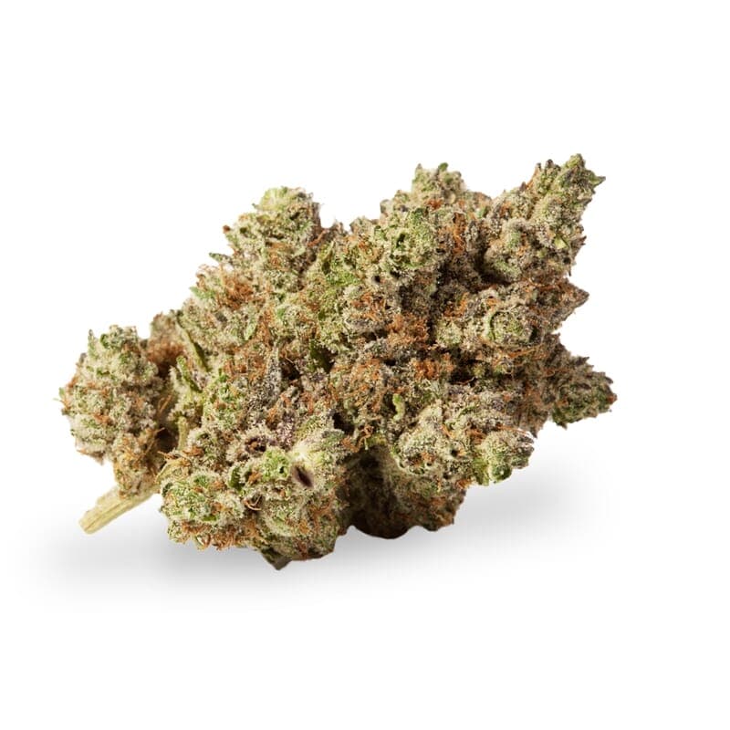 Number 14 Feminized Seeds - photo 2