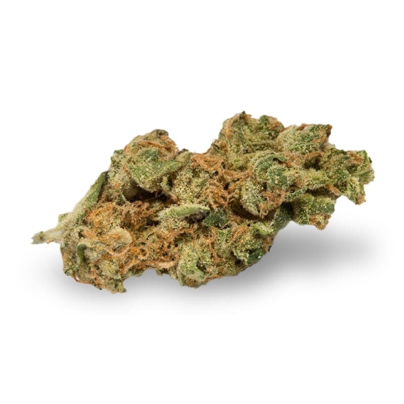 New York Turbo Diesel Autoflower Seeds - photo 2