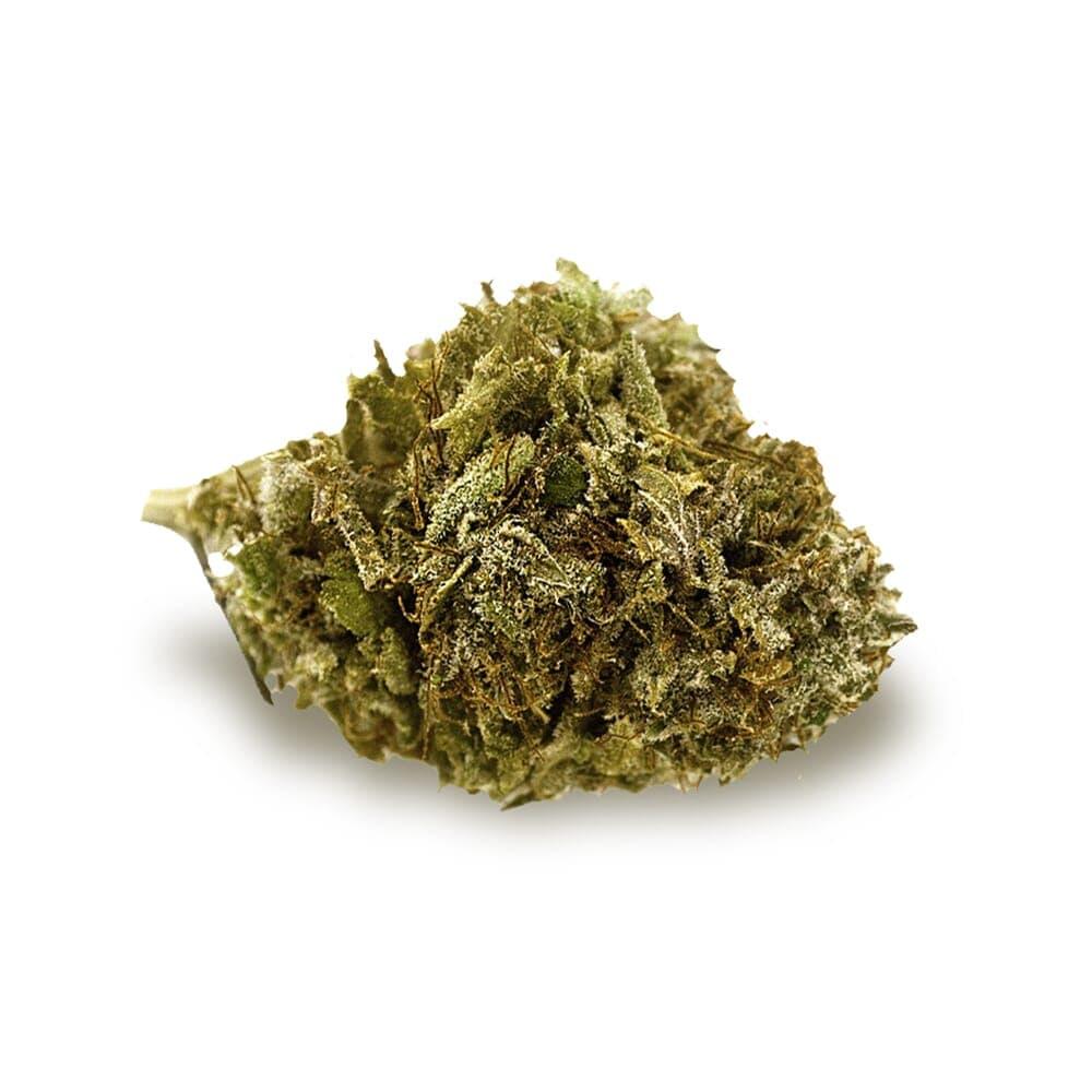 Cappuccino 420 Feminized Seeds - photo 2
