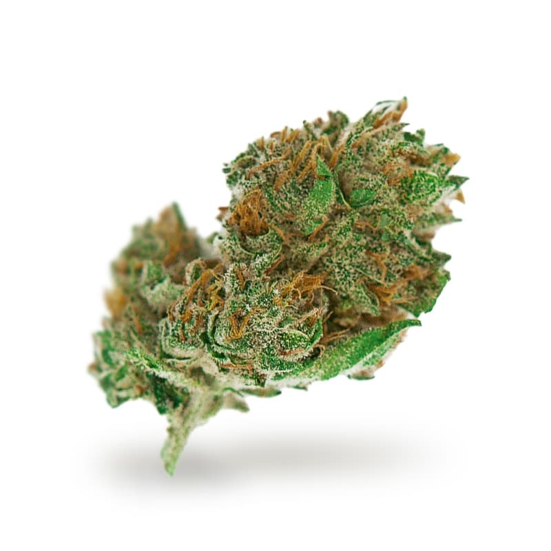 Psycho Feminized Seeds - photo 2