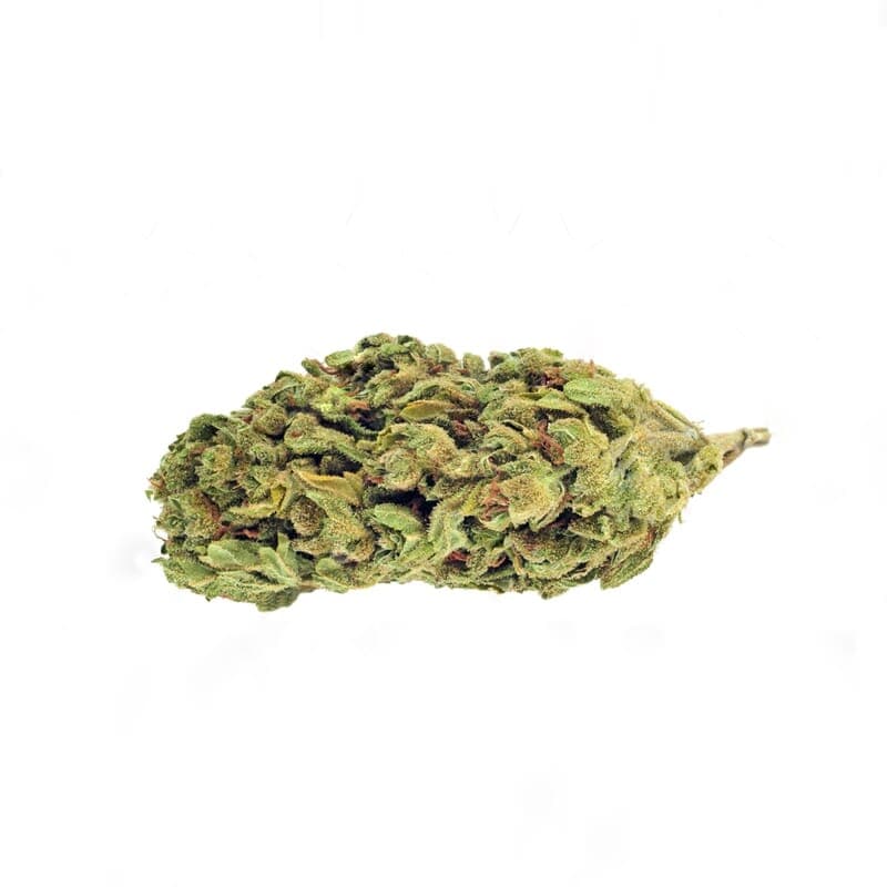 AMS XTRM ® Feminized Seeds - photo 2