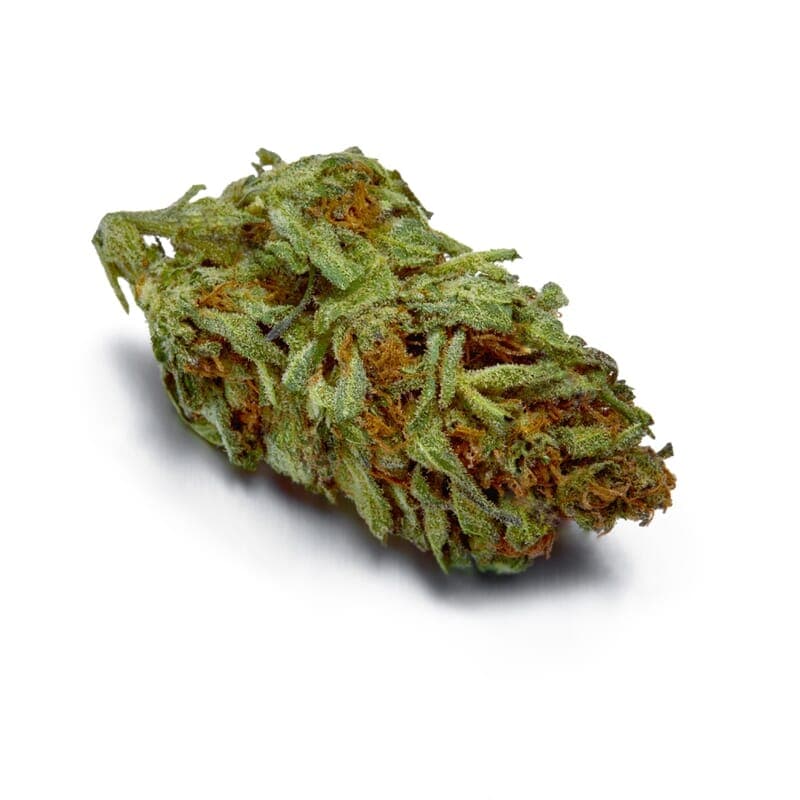 Girl Scout Cookies XTRM ® Feminized Seeds - photo 2