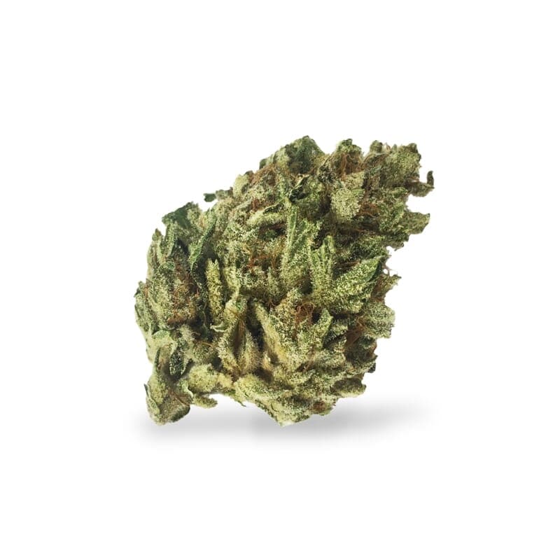 Night Nurse Feminized Seeds - photo 2