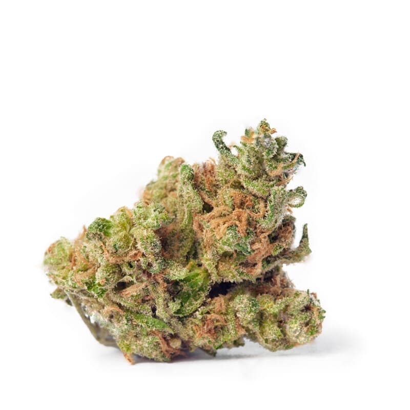 Blue Dream XTRM ® Feminized Seeds - photo 2