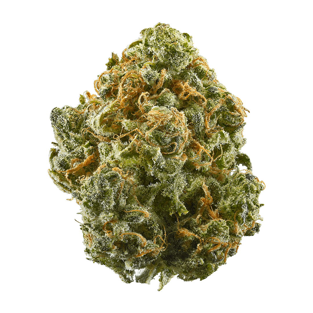 Blue Dream XTRM ® Feminized Seeds - photo 8