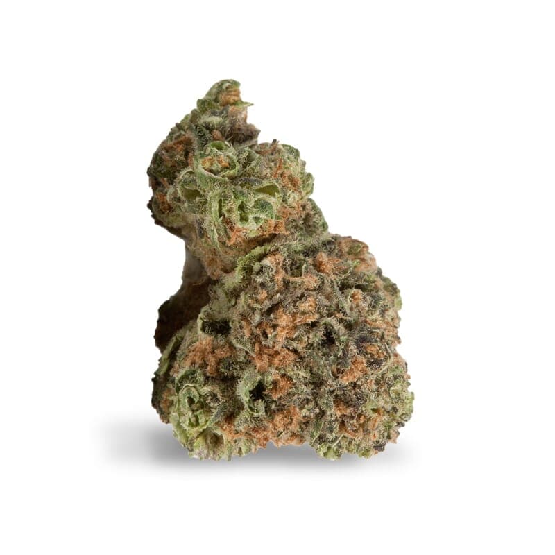 Pineapple Express Autoflower Seeds - photo 2
