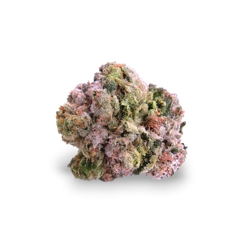 Rainbow Kush Feminized Seeds - photo 2