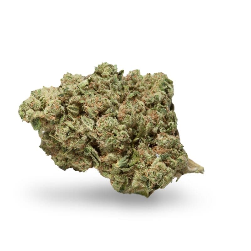 Limoncello Haze ® Autoflower Seeds - photo 2