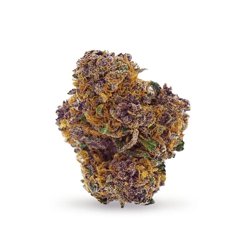 Purple Power XTRM Feminized Seeds - photo 2