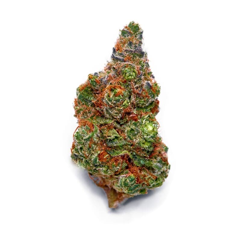 Love Canna ® Regular seeds - photo 2
