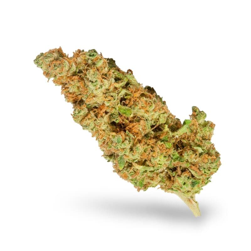 White Widow Autoflower Seeds - photo 3