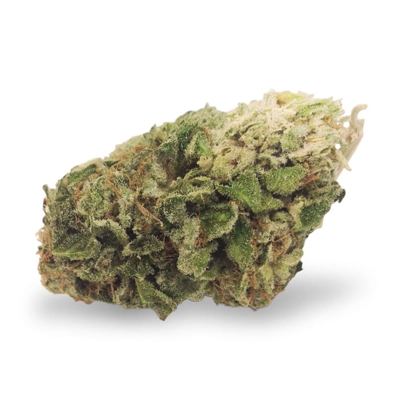 Northern Lights XTRM ® Autoflower Seeds - photo 2