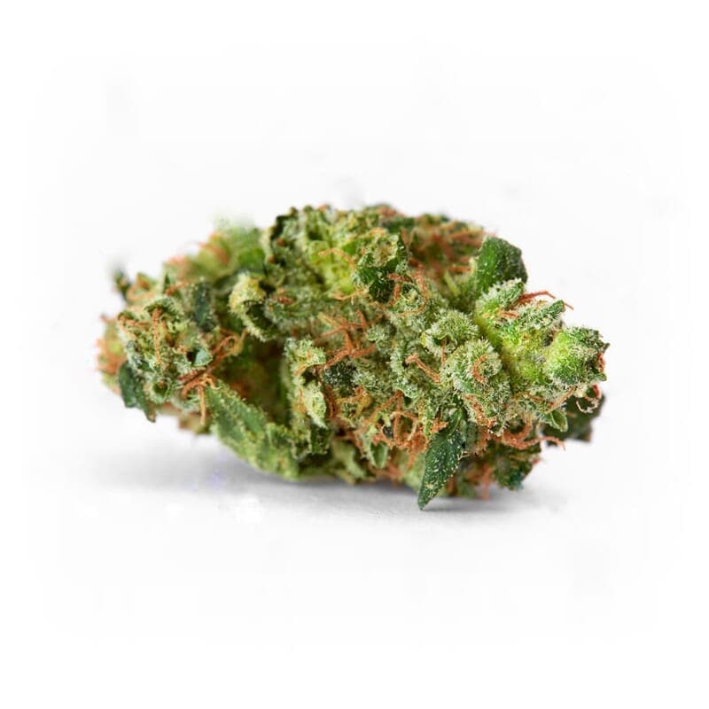 AK 47 XTRM ® Regular Seeds - photo 2