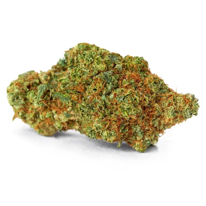 Borderliner XTRM ® Feminized Seeds - photo 2