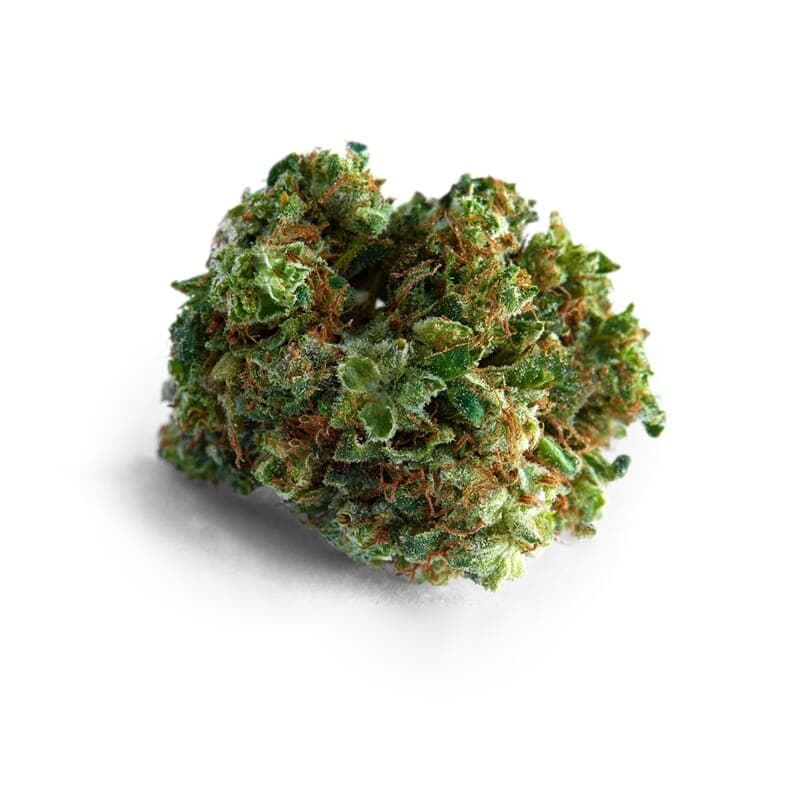 Big Bud Feminized Seeds - photo 2