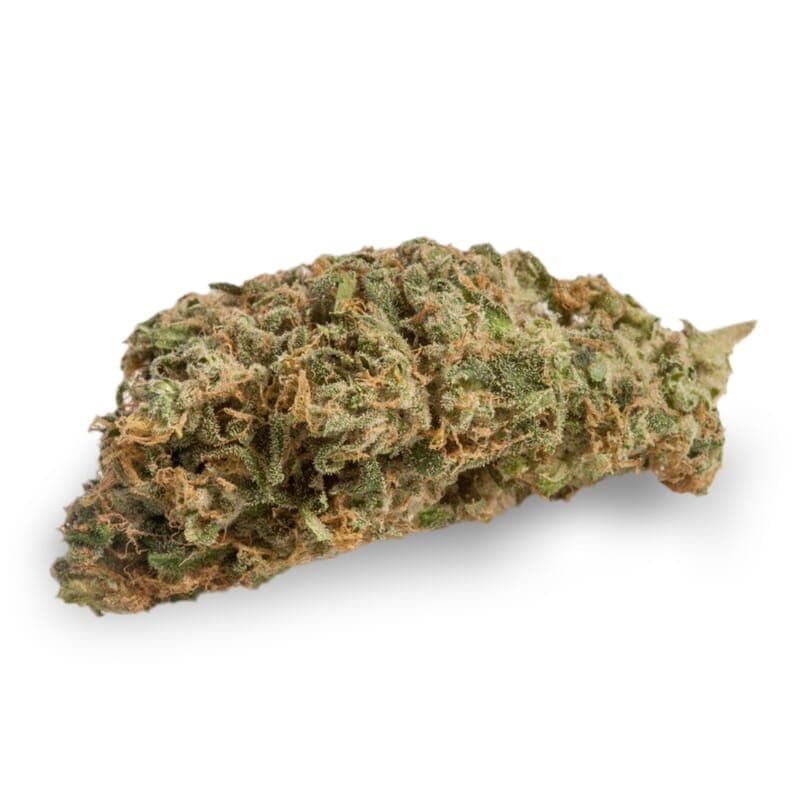 Light of Jah Regular Seeds - photo 2