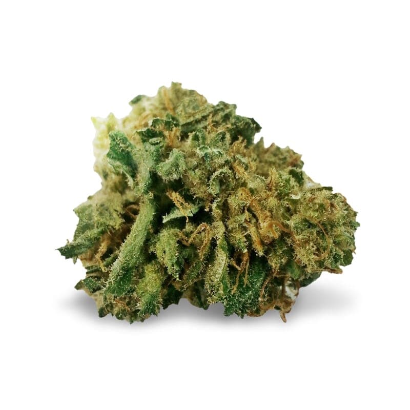 Mangolicious ® Regular Seeds - photo 2
