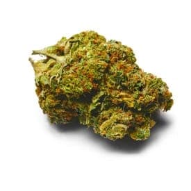Lemon Ice Regular Seeds - photo 2