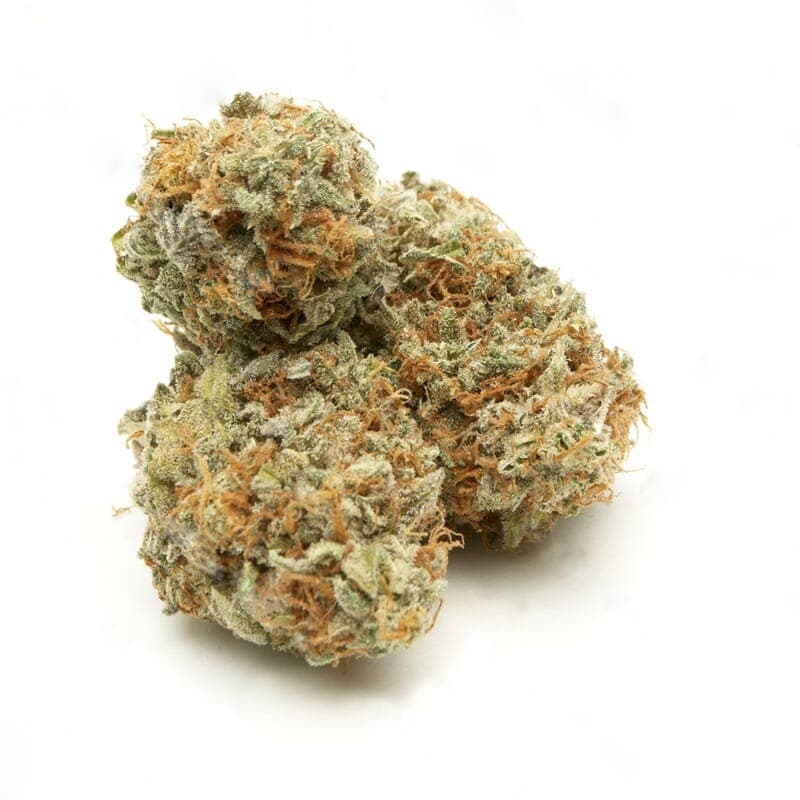 Amnesia Trance Feminized Seeds - photo 2