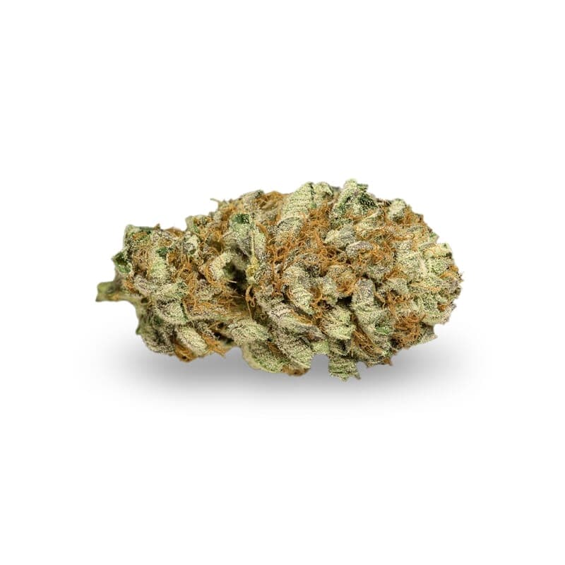 Master Kush Feminized Seeds - photo 2
