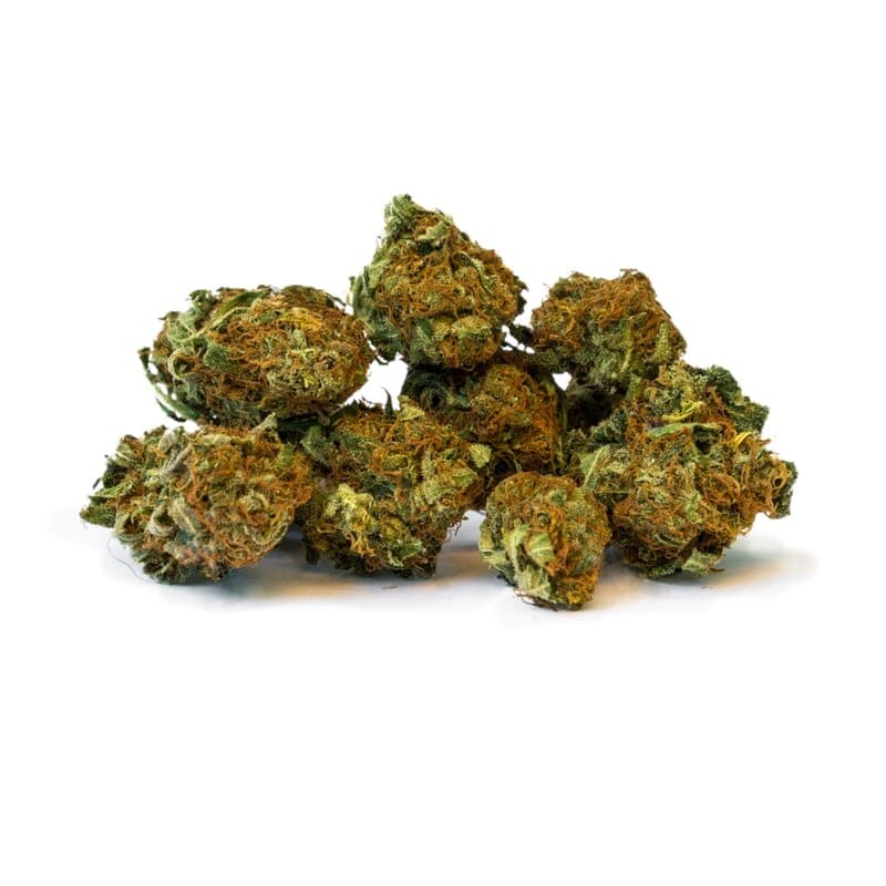 Afghan Feminized Seeds - photo 2