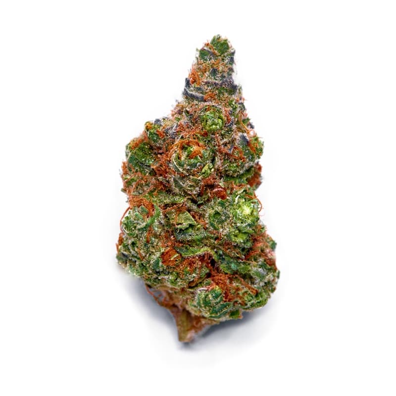 Aussie Blues ® Regular Seeds - photo 2