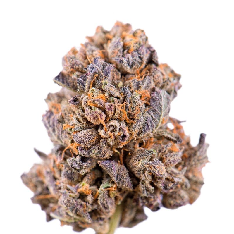 Caramelicious ® Regular Seeds - photo 2