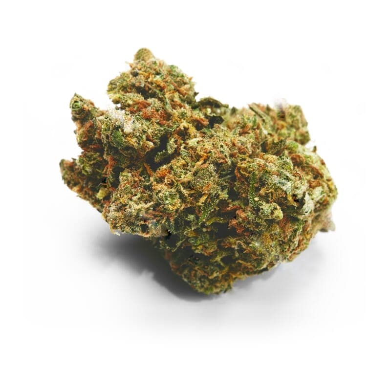 Bob Marley Regular Seeds - photo 2