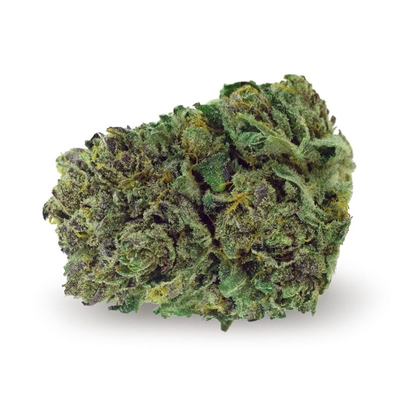 Super Skunk Regular Seeds - photo 2