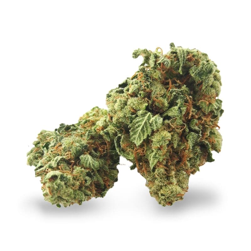 Super Silver Haze Regular Seeds - photo 2