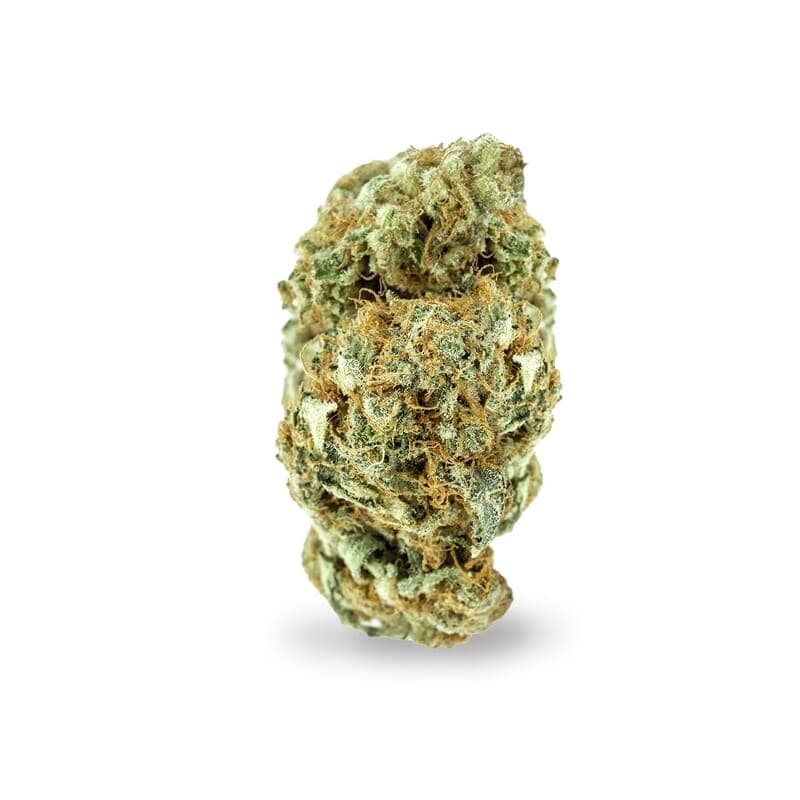 Supernova Regular Seeds - photo 2