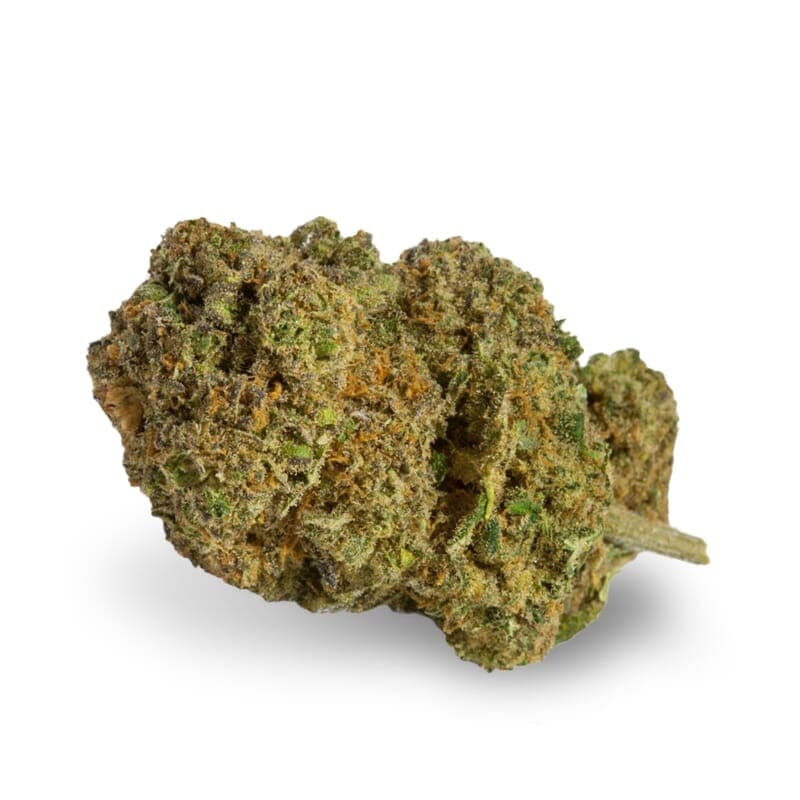 Haze Regular Seeds - photo 2
