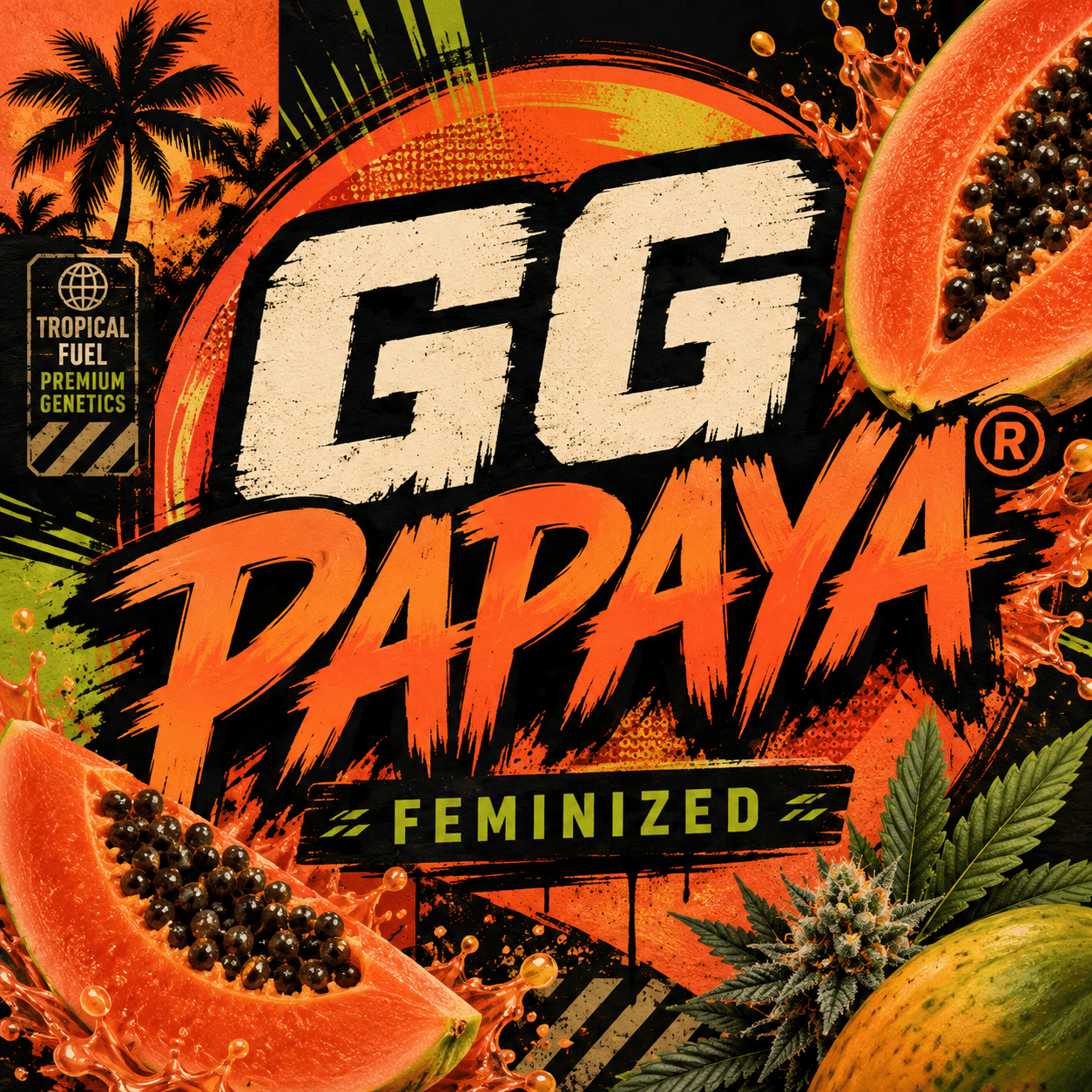 GG Papaya® Feminized Seeds - photo 2