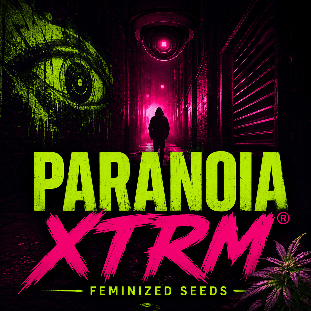 Paranoia XTRM® Feminized Seeds - photo 2