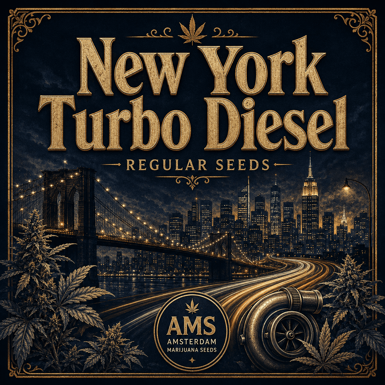 New York Turbo Diesel Regular Seeds - photo 3