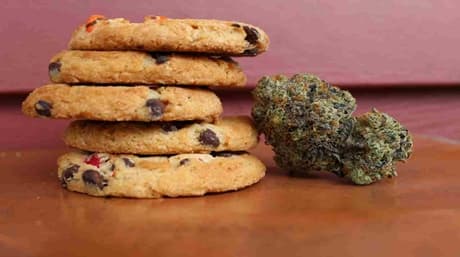 Edibles Dose Chart: How Much Do I Need?