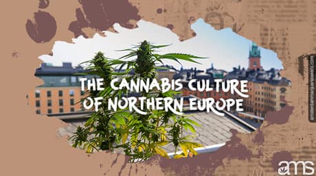 Is Weed Legal in Denmark? Christiania, Medical Cannabis, and the Law in 2026