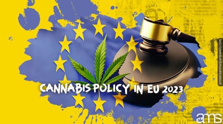 Cannabis Laws Across Europe: A Country-by-Country Guide