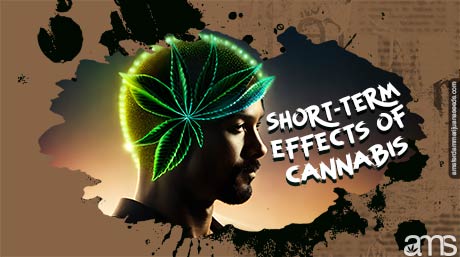 long term effects of marijuana