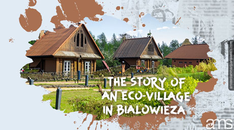 eco-village in Bialowieza eco houses in Bialowieza
