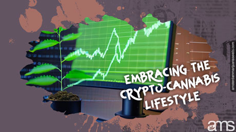 Buy Marijuana Seeds Bitcoins