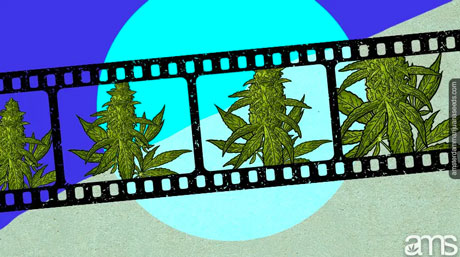 kush esrarının video klibi