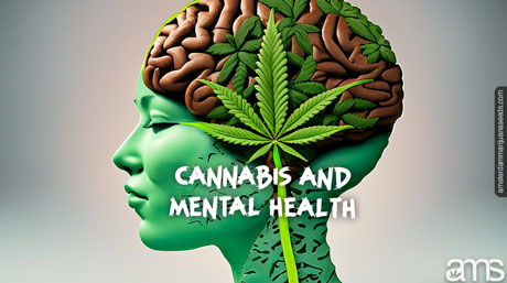 cannabiskonsumtion mental hälsa