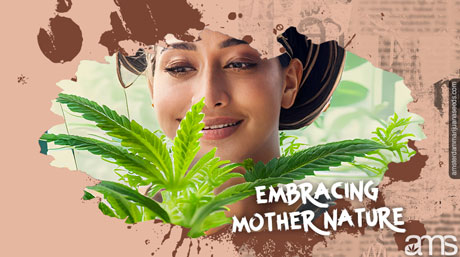 amsterdam seed bank cannabis plant