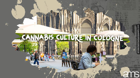 Cannabis politics in Germany
