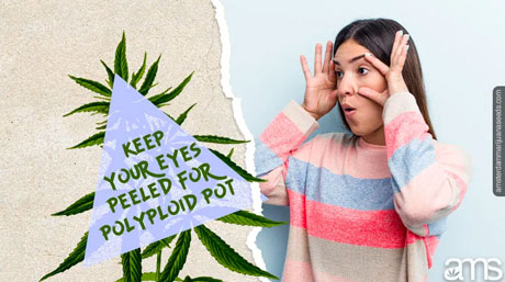 polyploid pottrevolution
